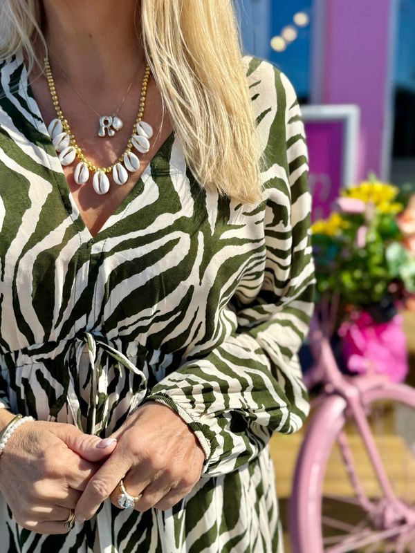 Zebra Butterfly Dress